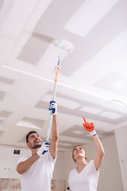 Best Commercial Mold Inspection  in Connellsville, PA