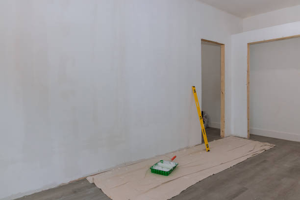 Best Basement Mold Removal  in Connellsville, PA