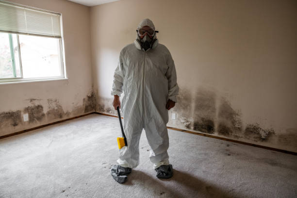 Best Air Quality Testing for Mold Spores  in Connellsville, PA
