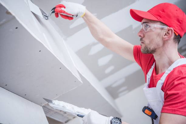 Best Attic Mold Removal  in Connellsville, PA